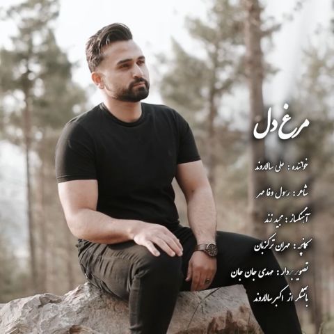 علی سالاروند - مرغ دل